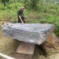 Dolmen berupa meja batu yang diyakini berasal dari periode magalitik tua yang ditemukan di Desa Toinasa, Pamona Barat, Poso. (Foto: Pian Siruyu)