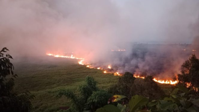 
					Kebakaran lahan di Desa Meko, Poso yang terjadi hingga Selasa Malam (29/8/2023). (Foto: BPBD Sulteng)