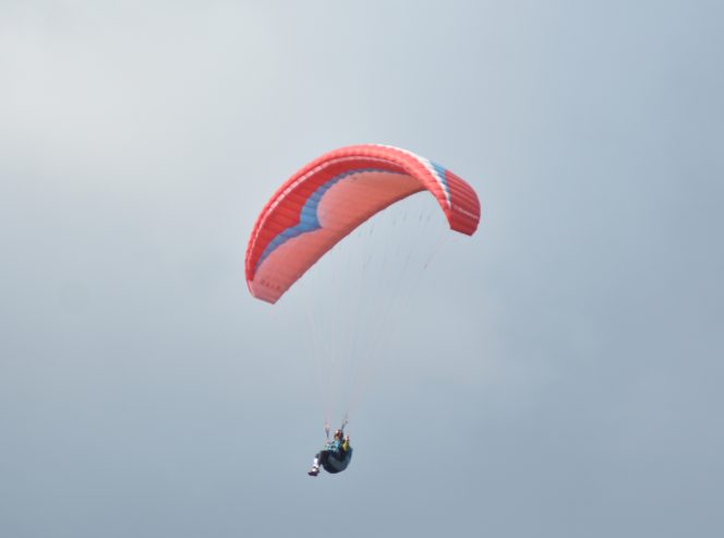 
					Ilustrasi: seorang atlet paralayang terbang di sekitar bukit Salena dalam Kejuaraan Paralayang Palu Sport Event. (Foto: A. Pranata)